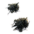 Ceratozygum horridum c